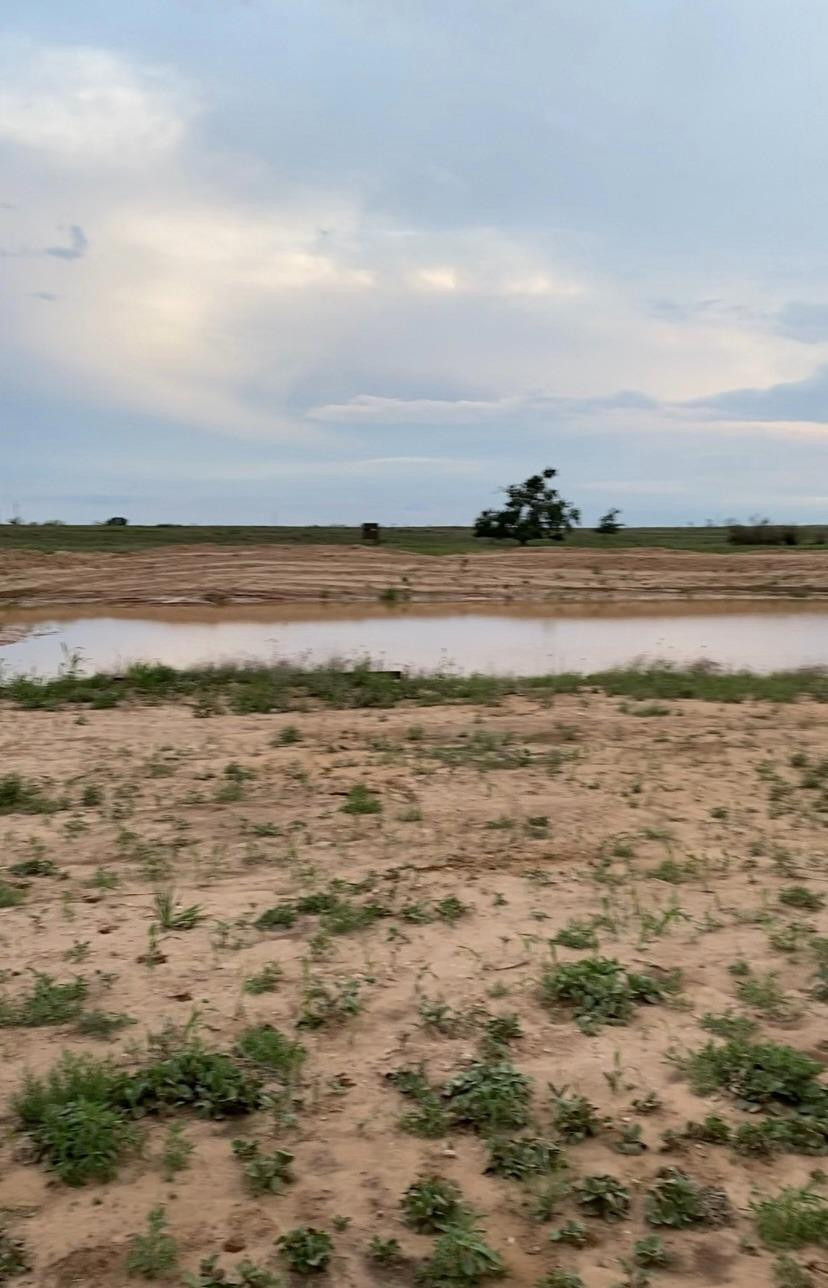 1825 County Road 595