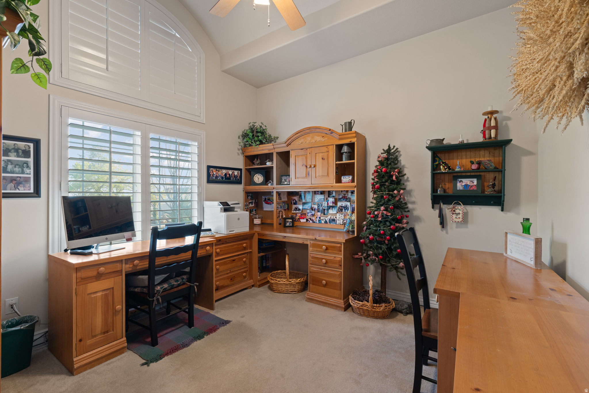 262 TIMOTHY WAY