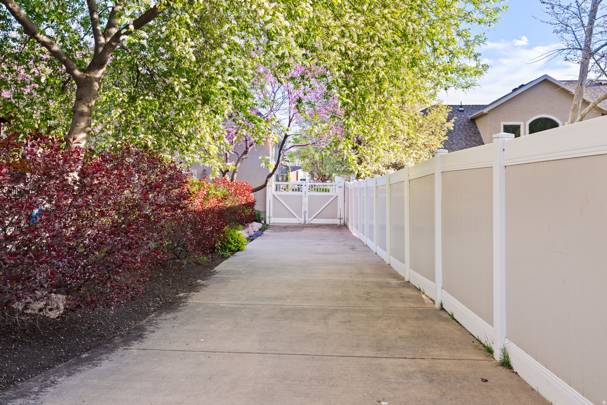 262 TIMOTHY WAY