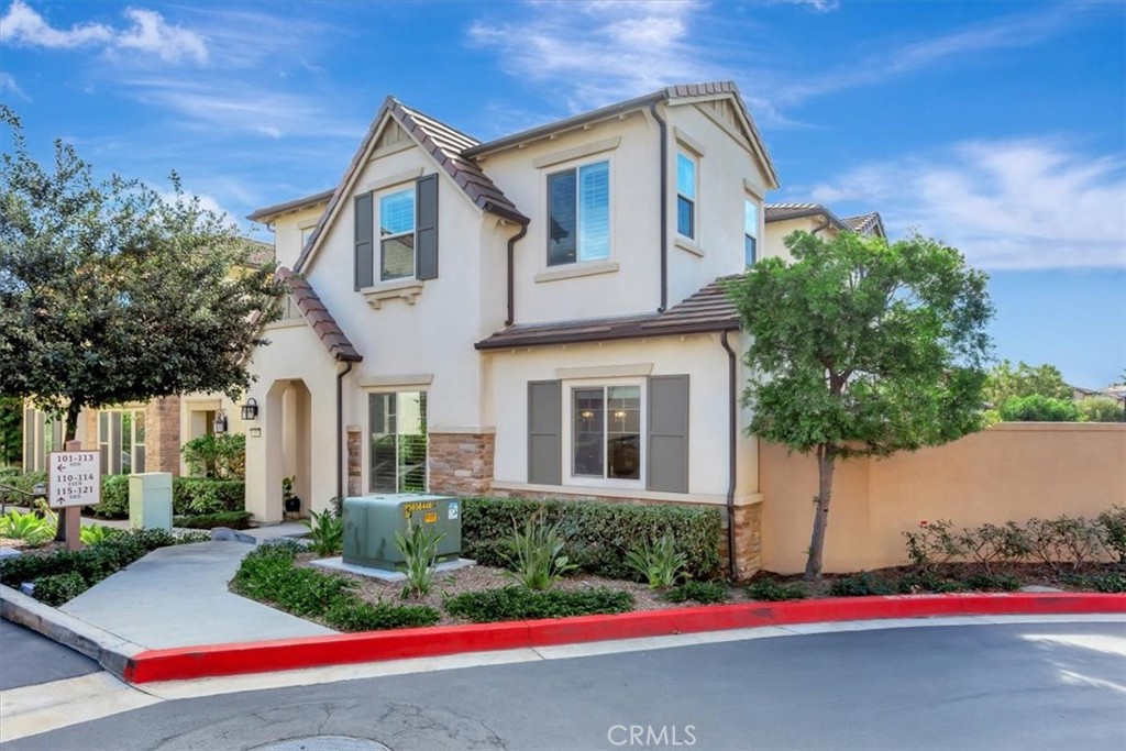 115 Primrose