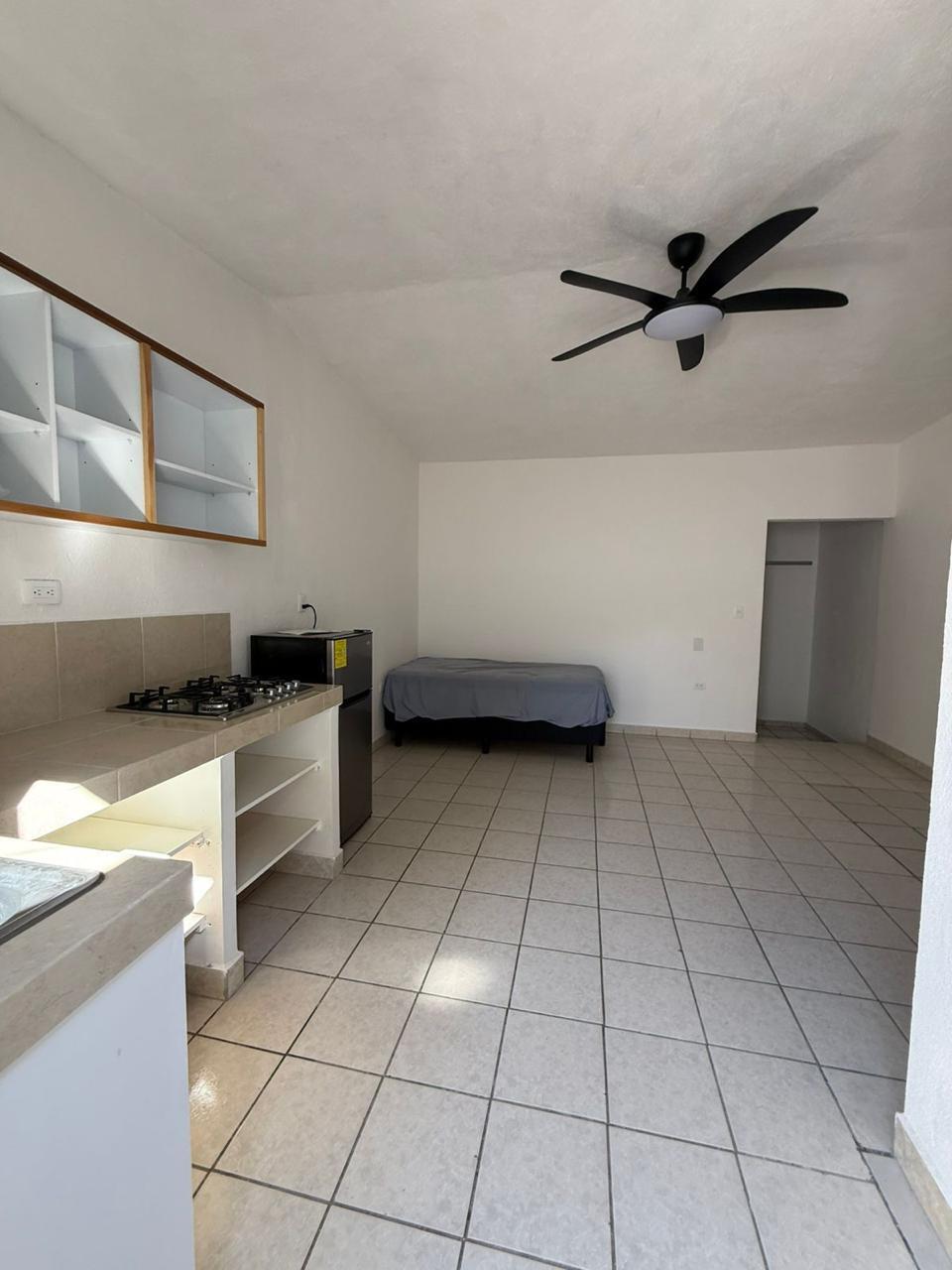 S/N Solidaridad, Zacatal Business Living