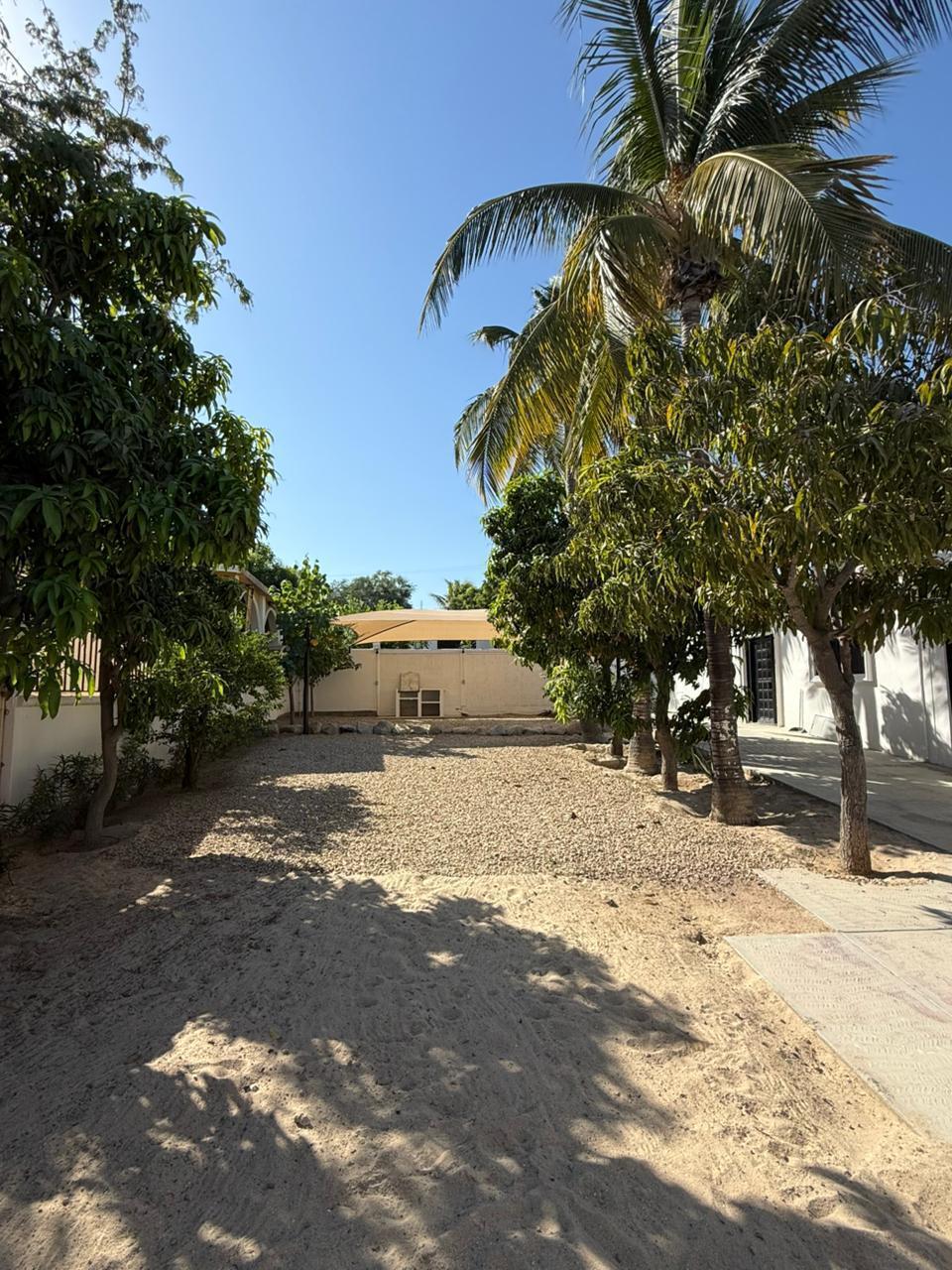 S/N Solidaridad, Zacatal Business Living