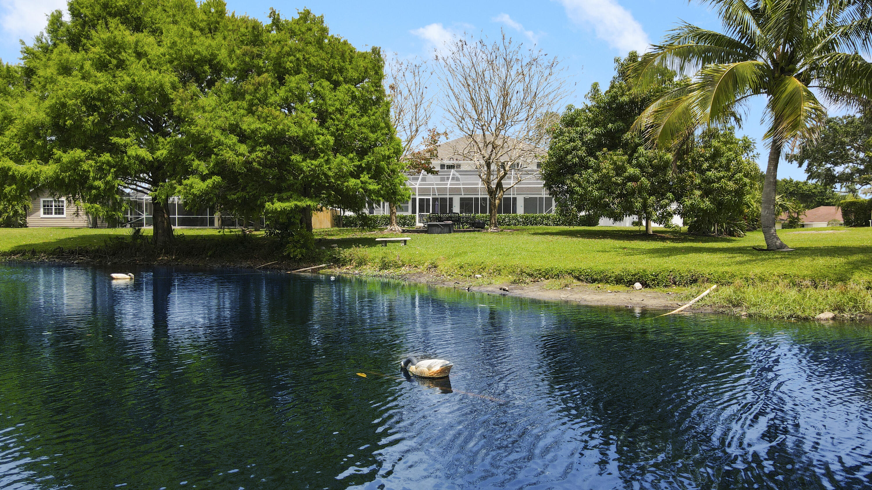 19638 Red Maple Lane