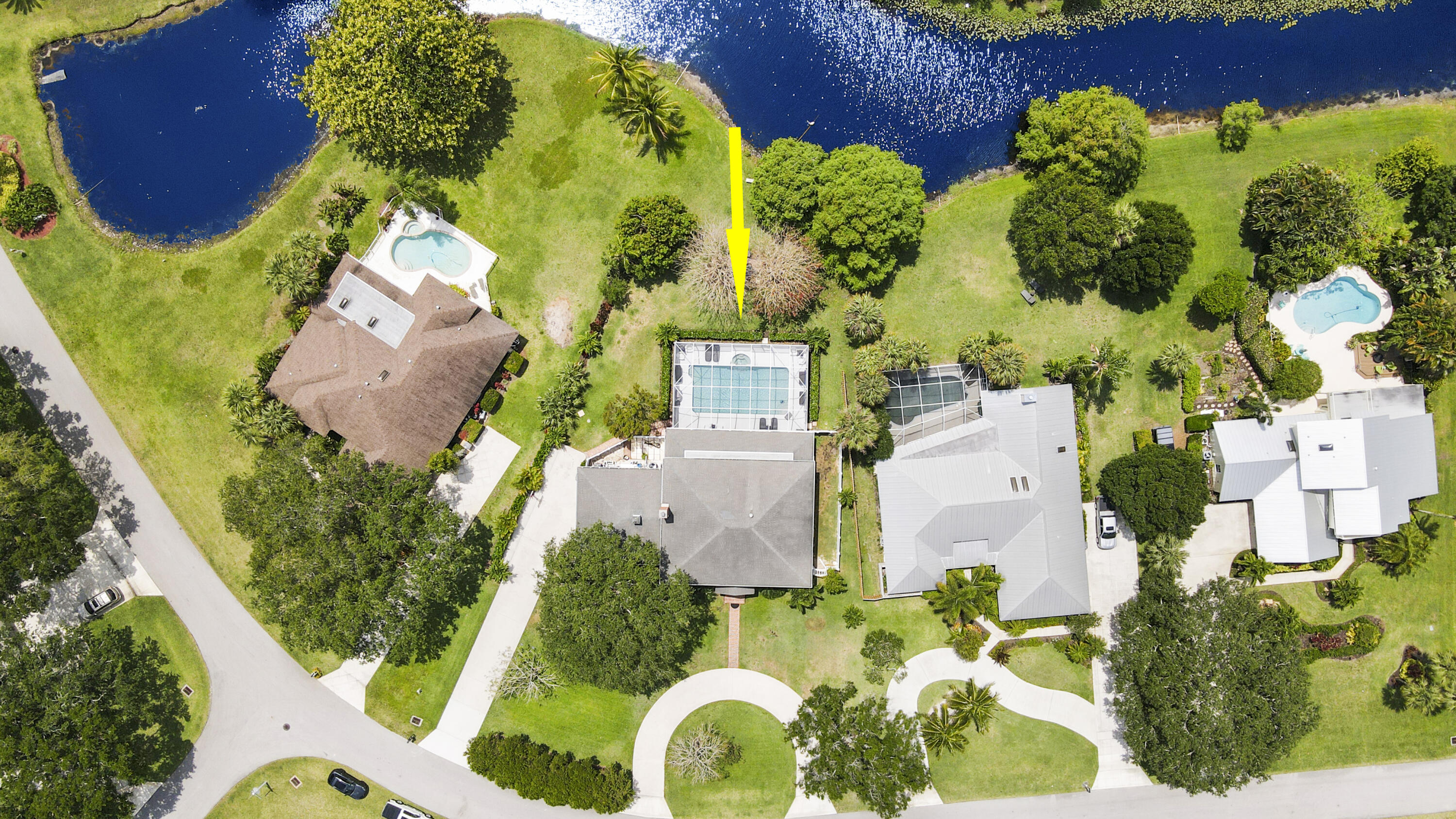 19638 Red Maple Lane