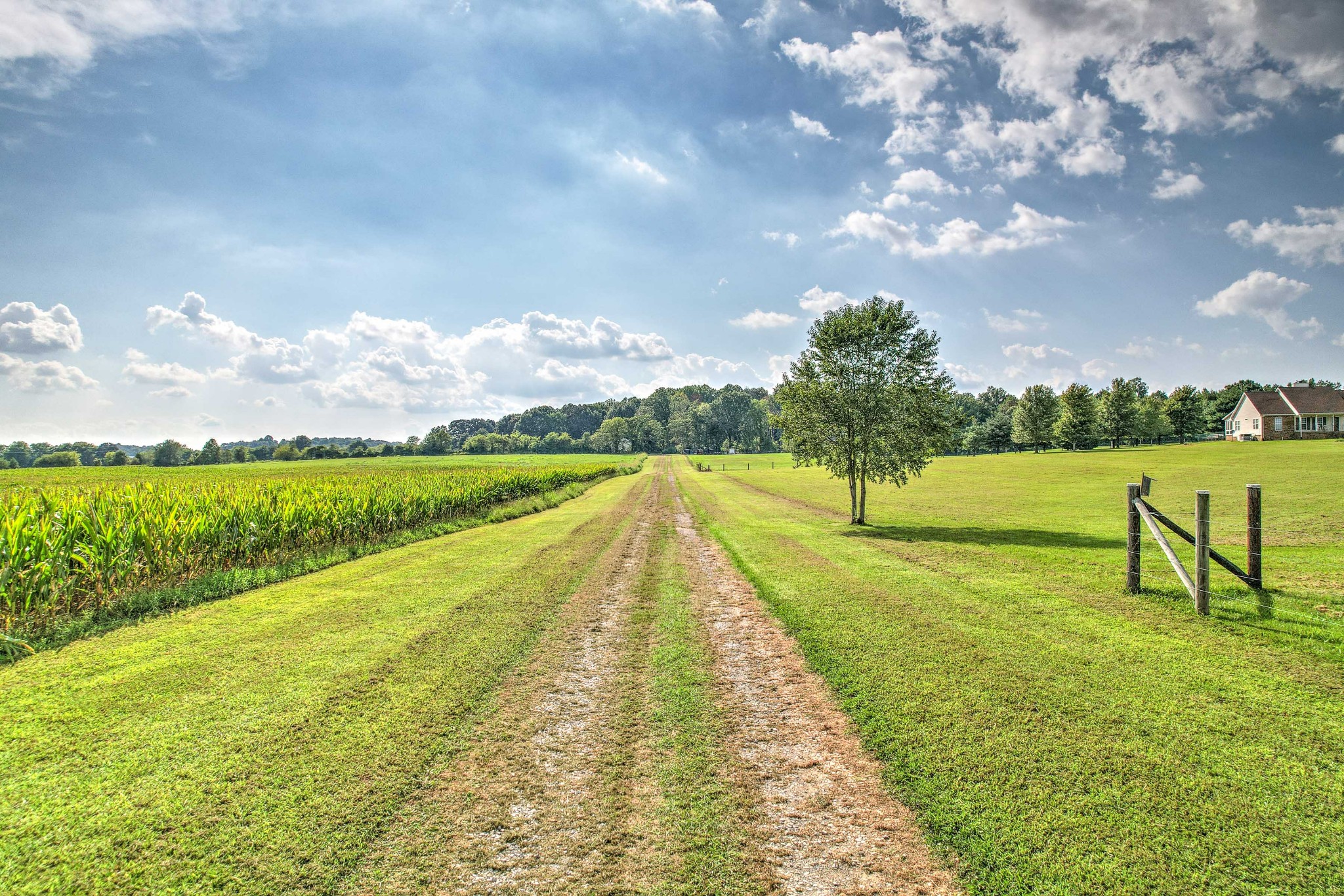 8336 Cross Plains Rd