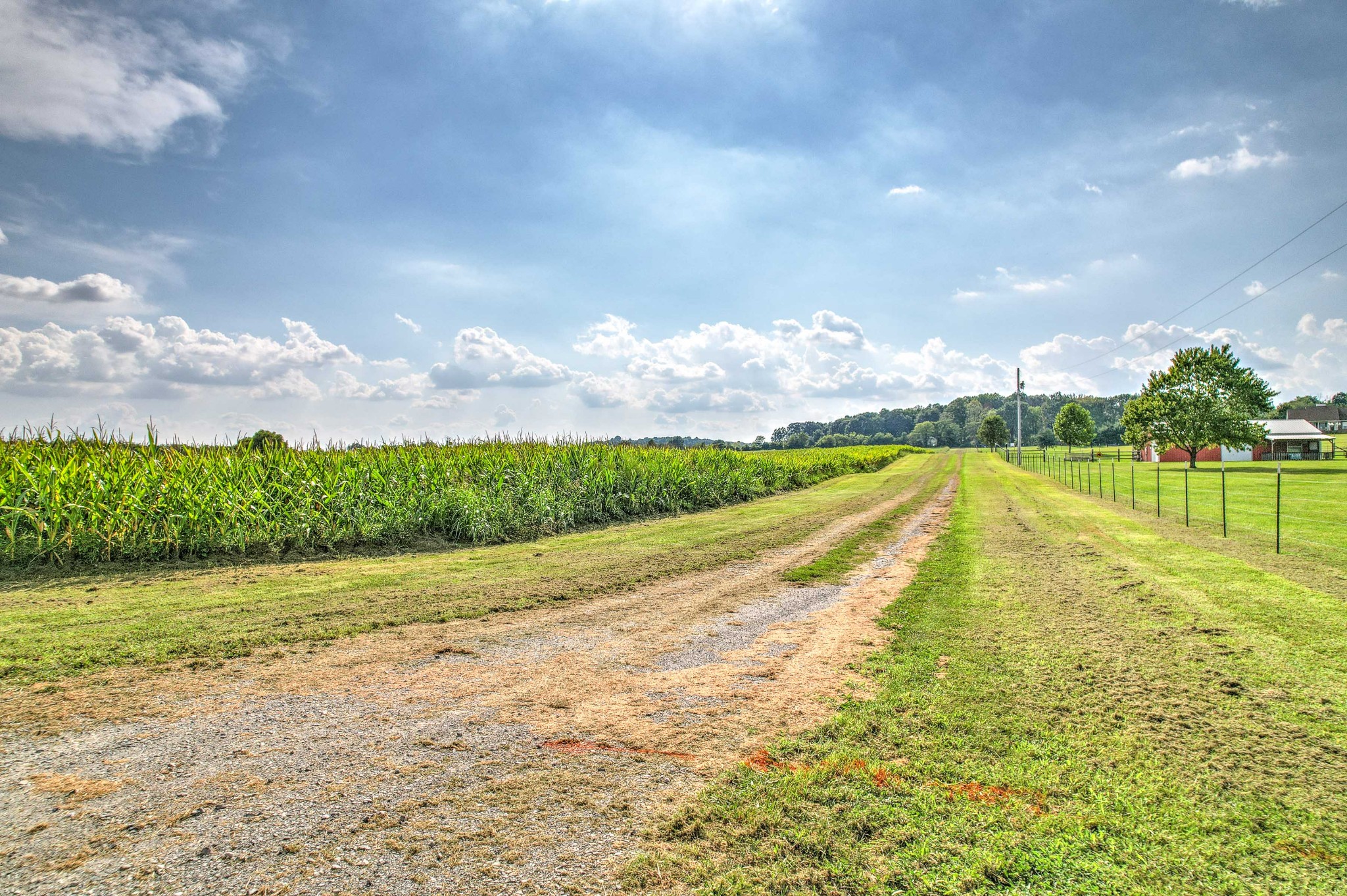 8336 Cross Plains Rd