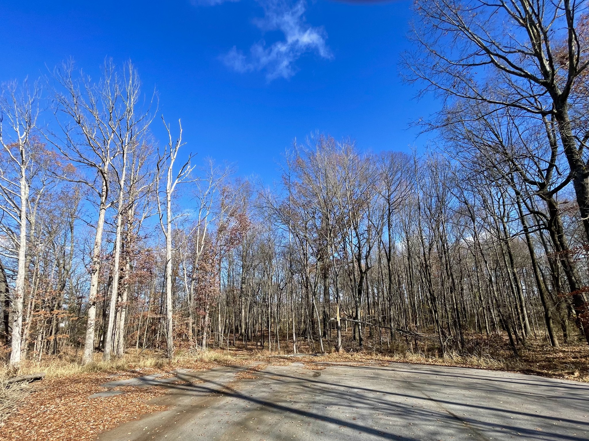 0 South Pinson Drive