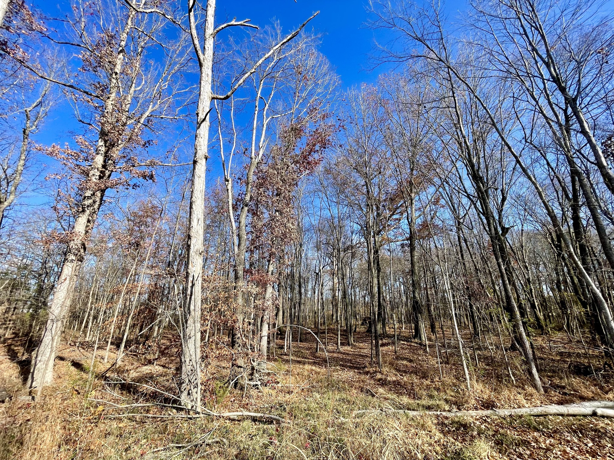 0 South Pinson Drive