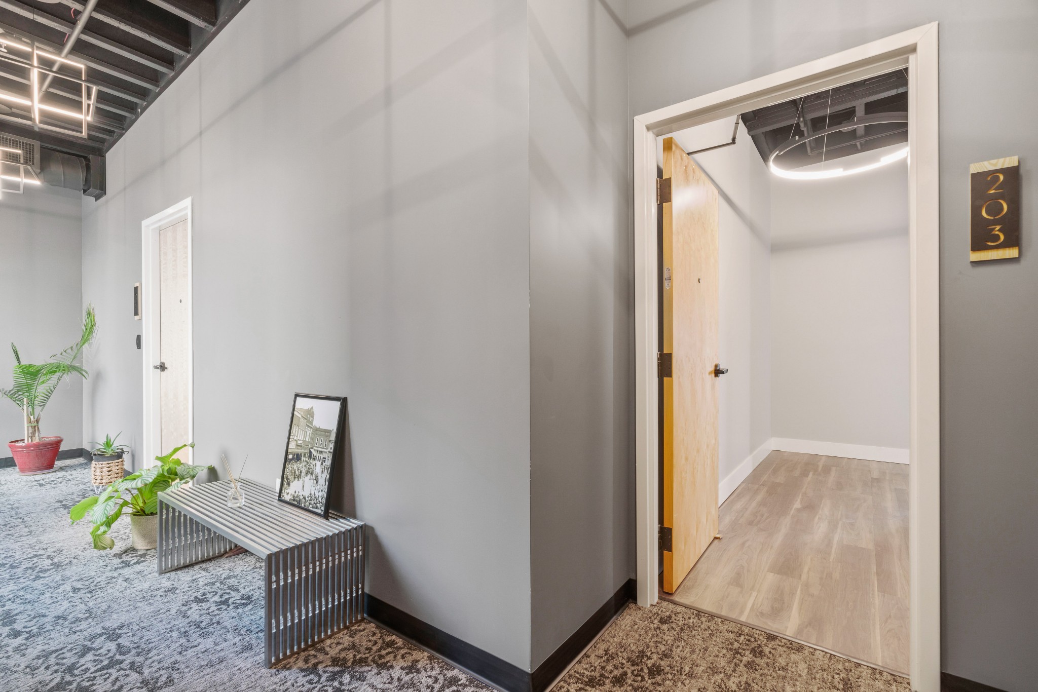 125 Prince St Unit: 203