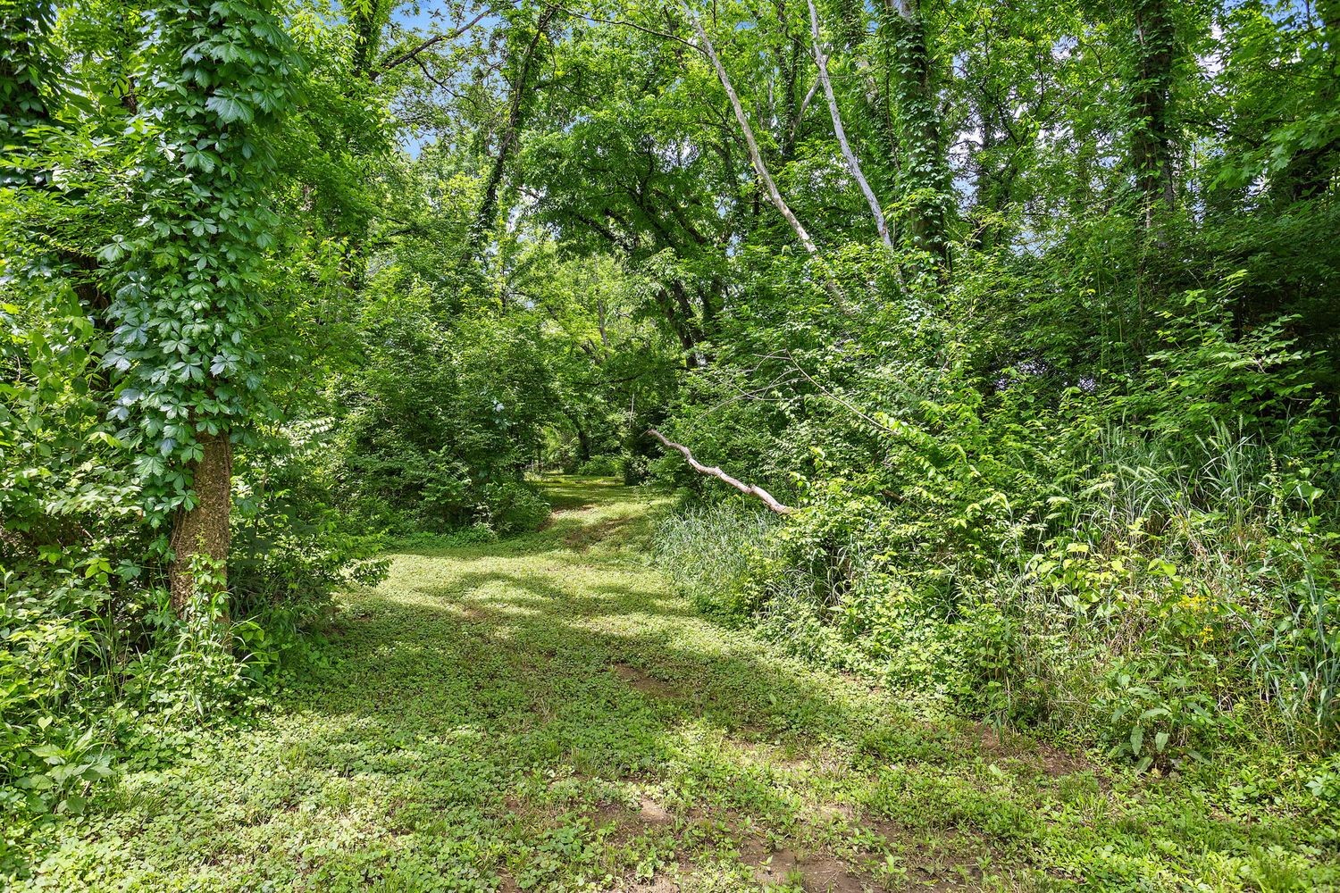 1029 Jenkins Ln