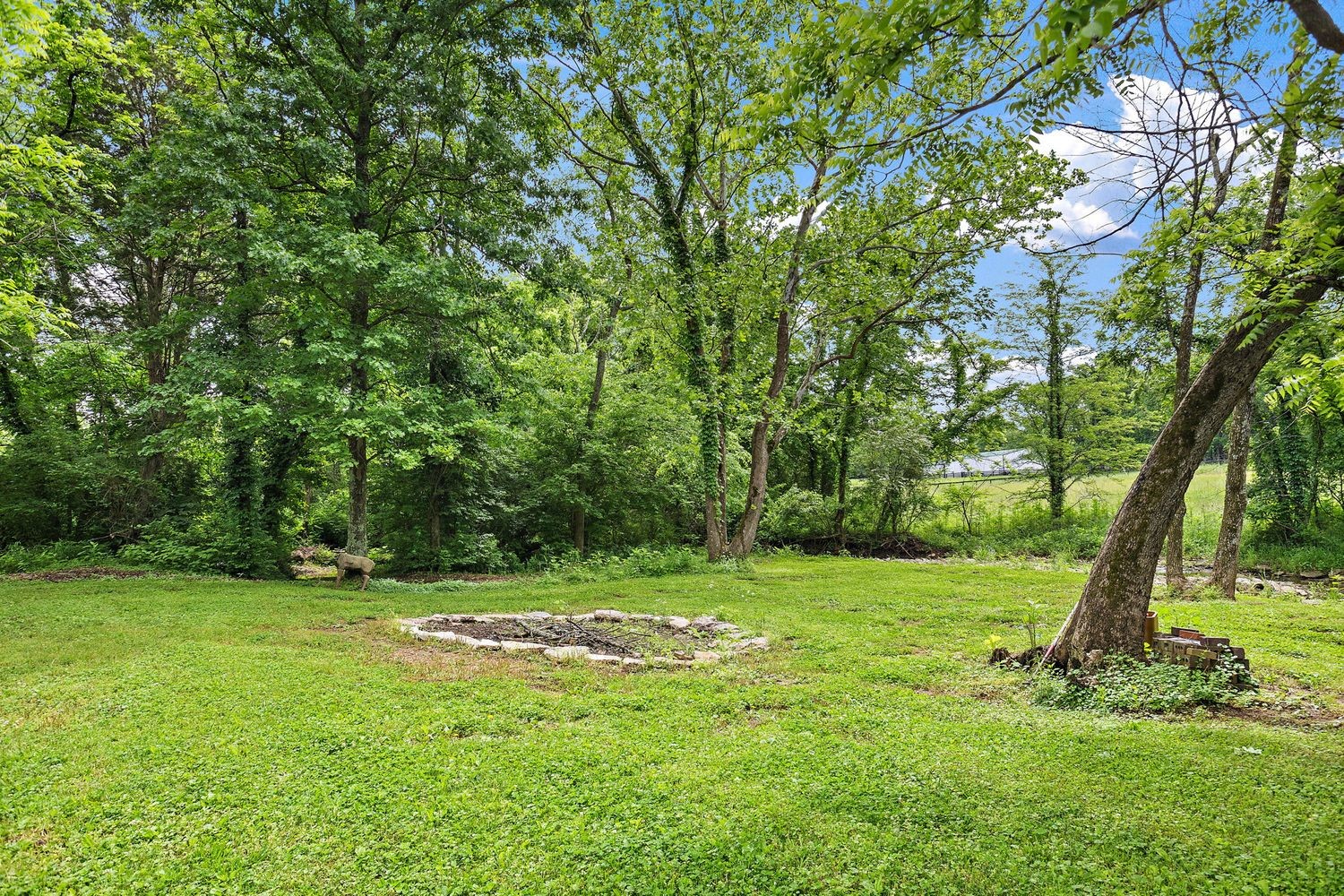 1029 Jenkins Ln
