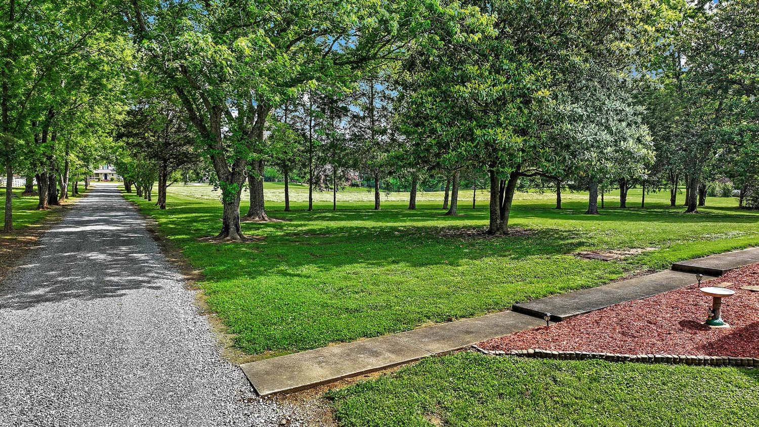 1029 Jenkins Ln