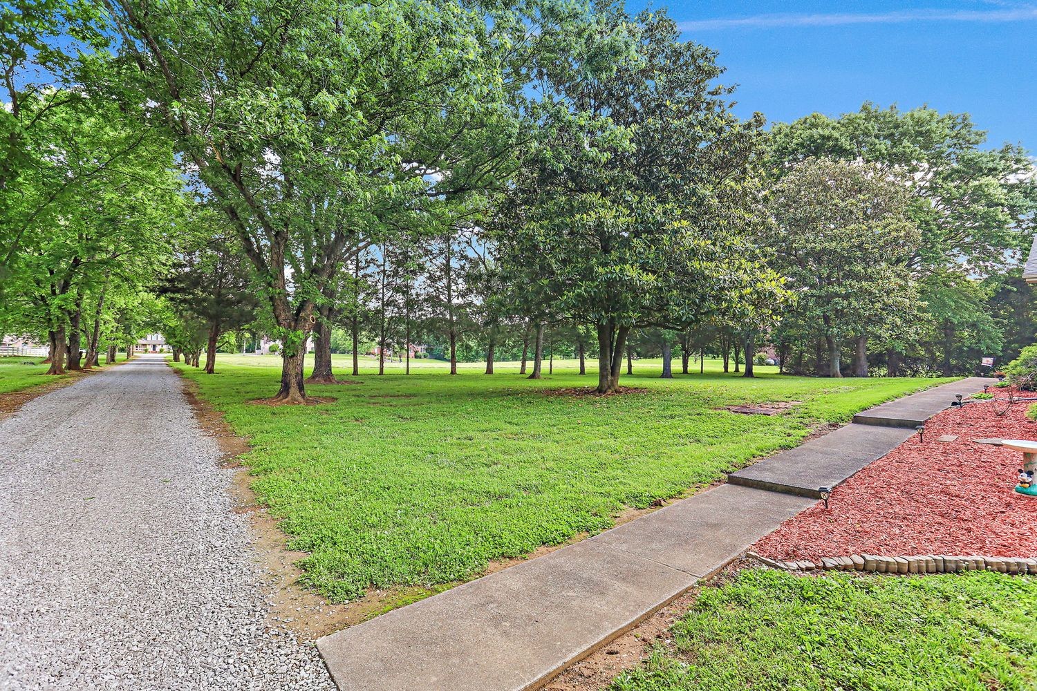 1029 Jenkins Ln