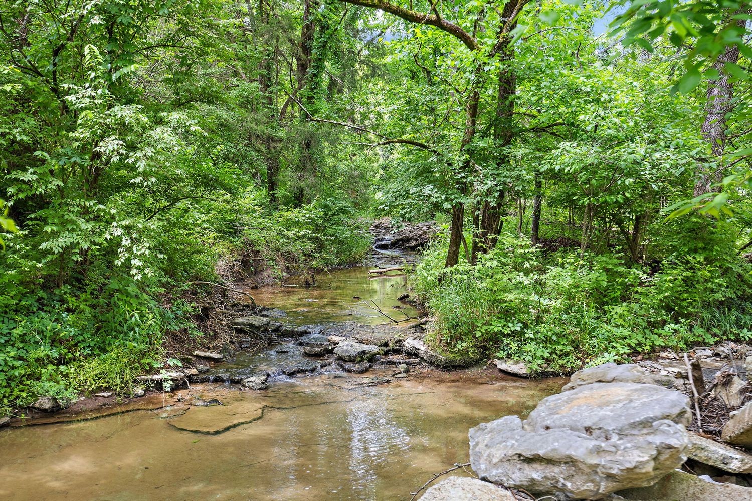 1029 Jenkins Ln