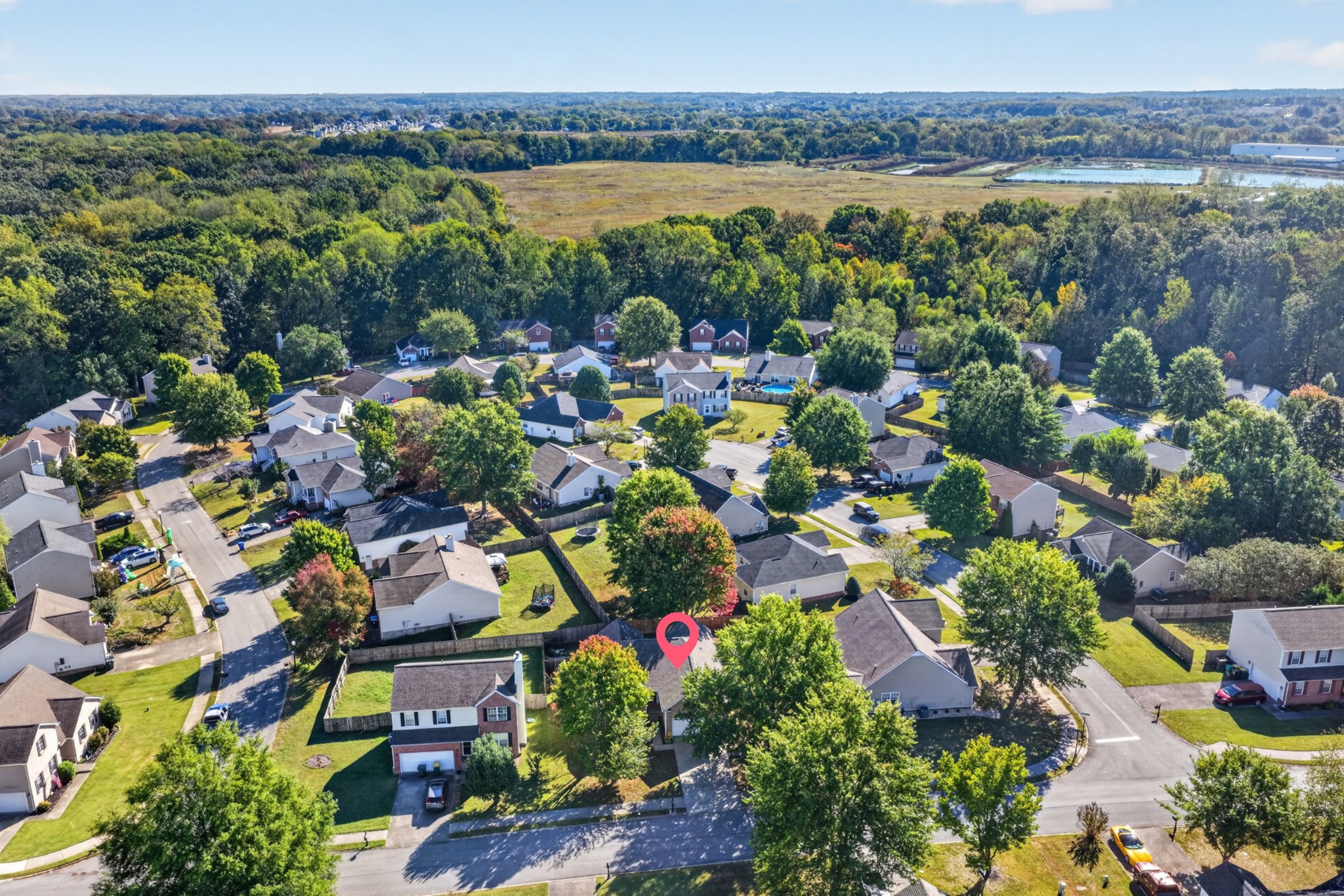 134 Willowleaf Ln