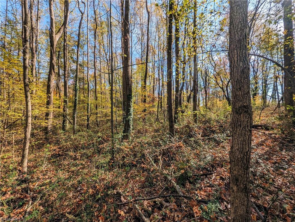 5420 Old Walkertown Road