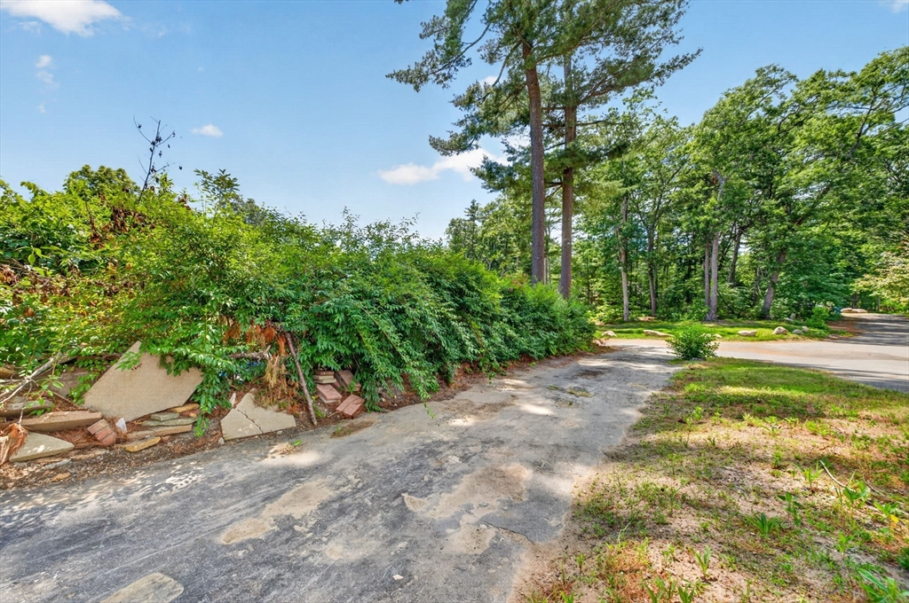 13 Woodland Drive