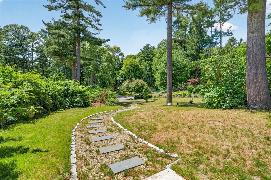 13 Woodland Drive