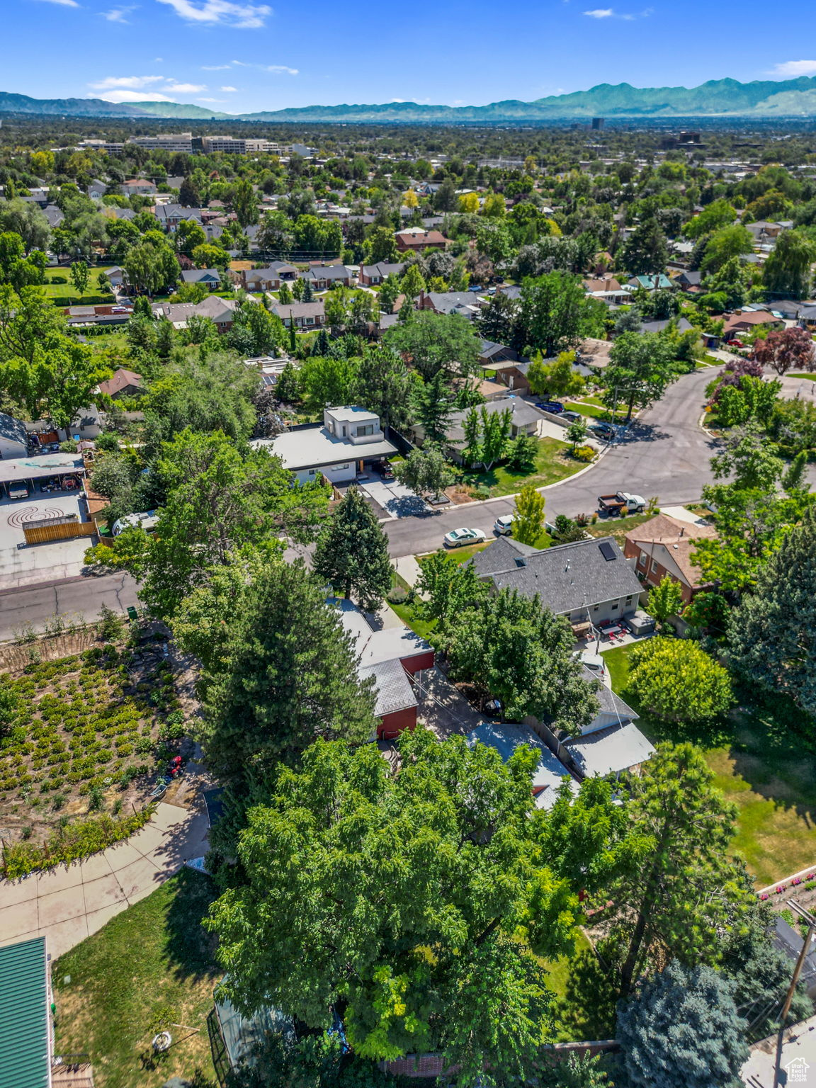 1275 E LAVON DR