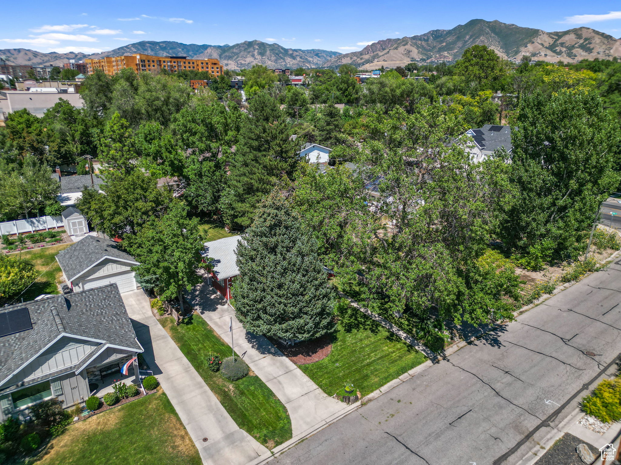 1275 E LAVON DR
