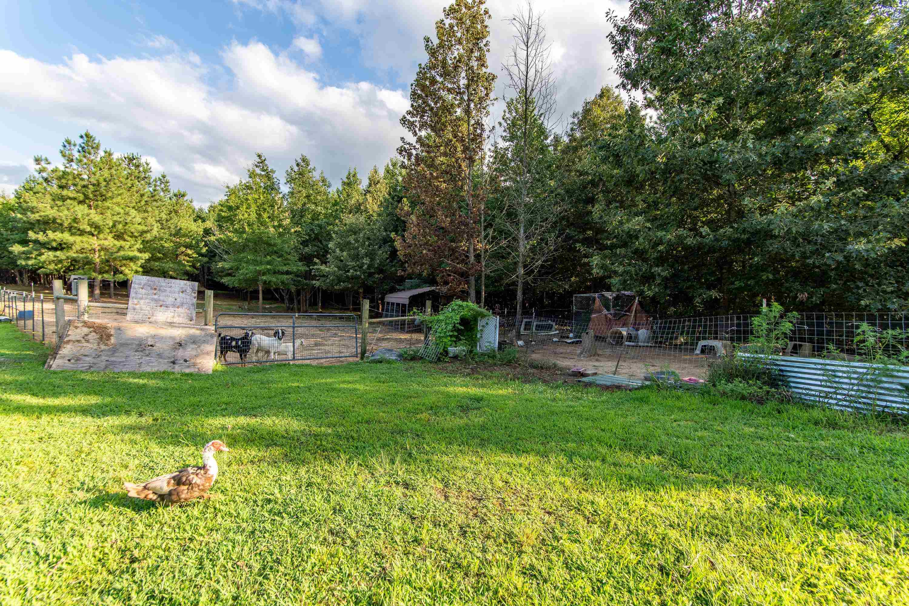 820 Liberty Road