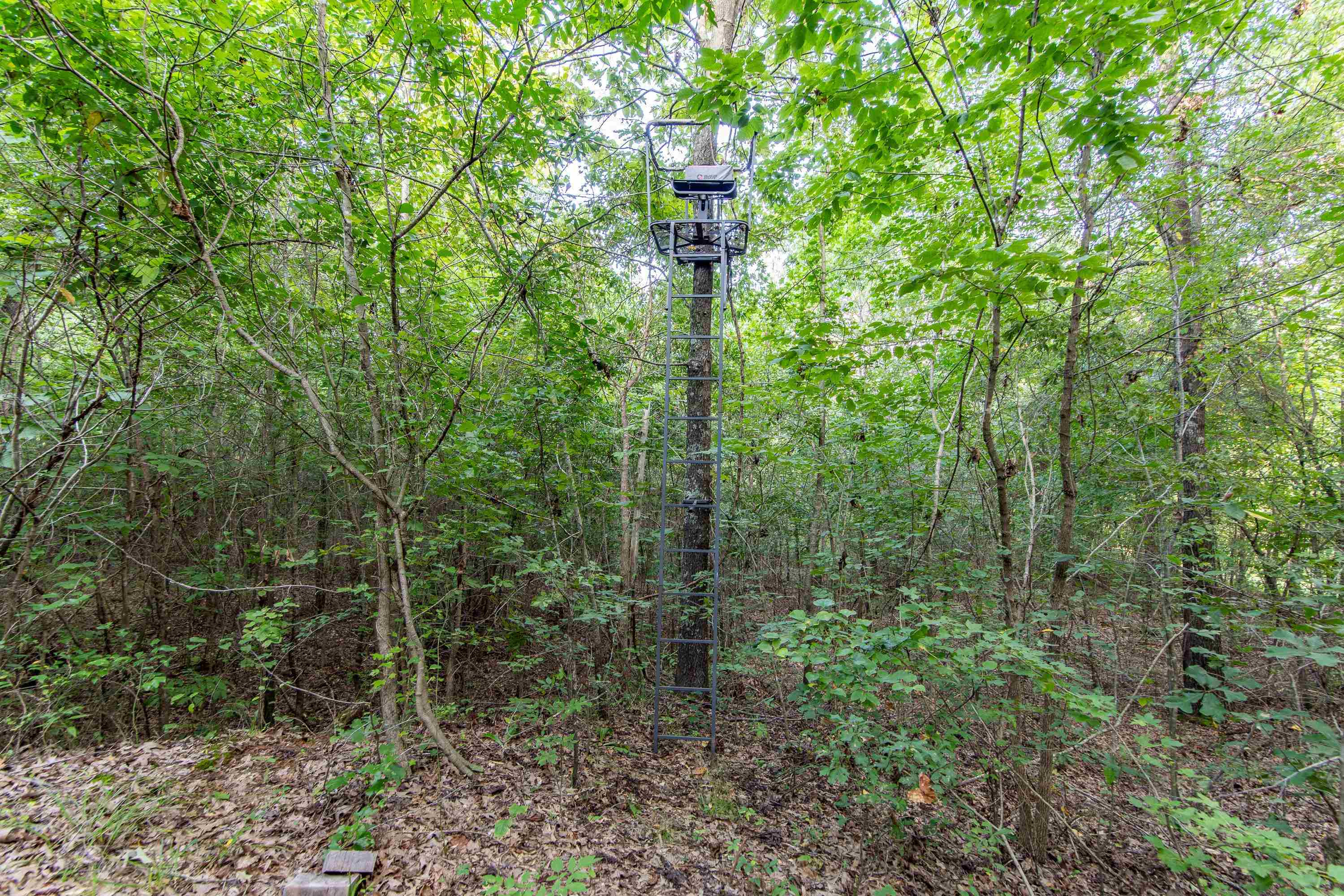 820 Liberty Road