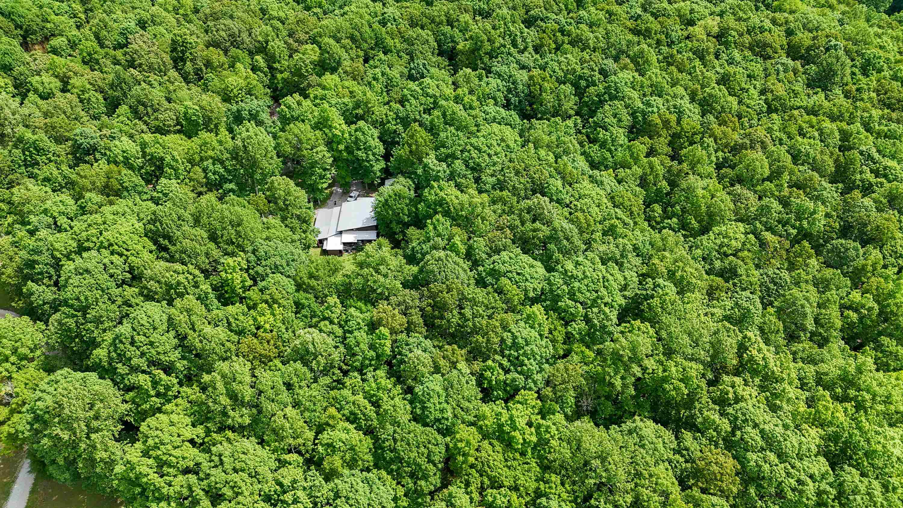 29 Myers Road