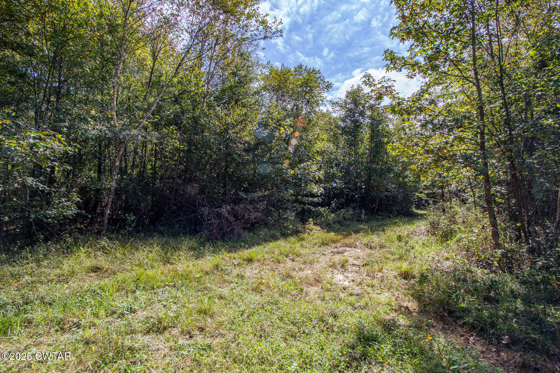 424 Firetower Road
