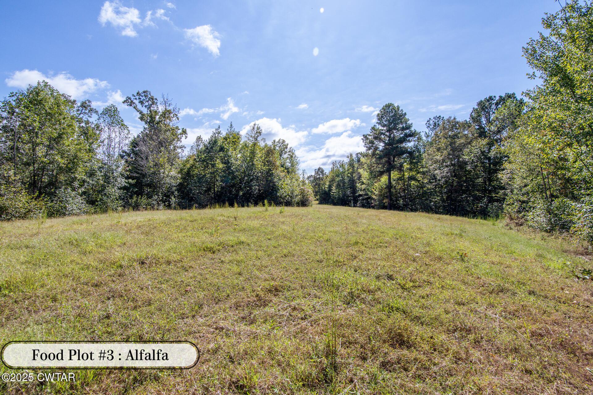 424 Firetower Road