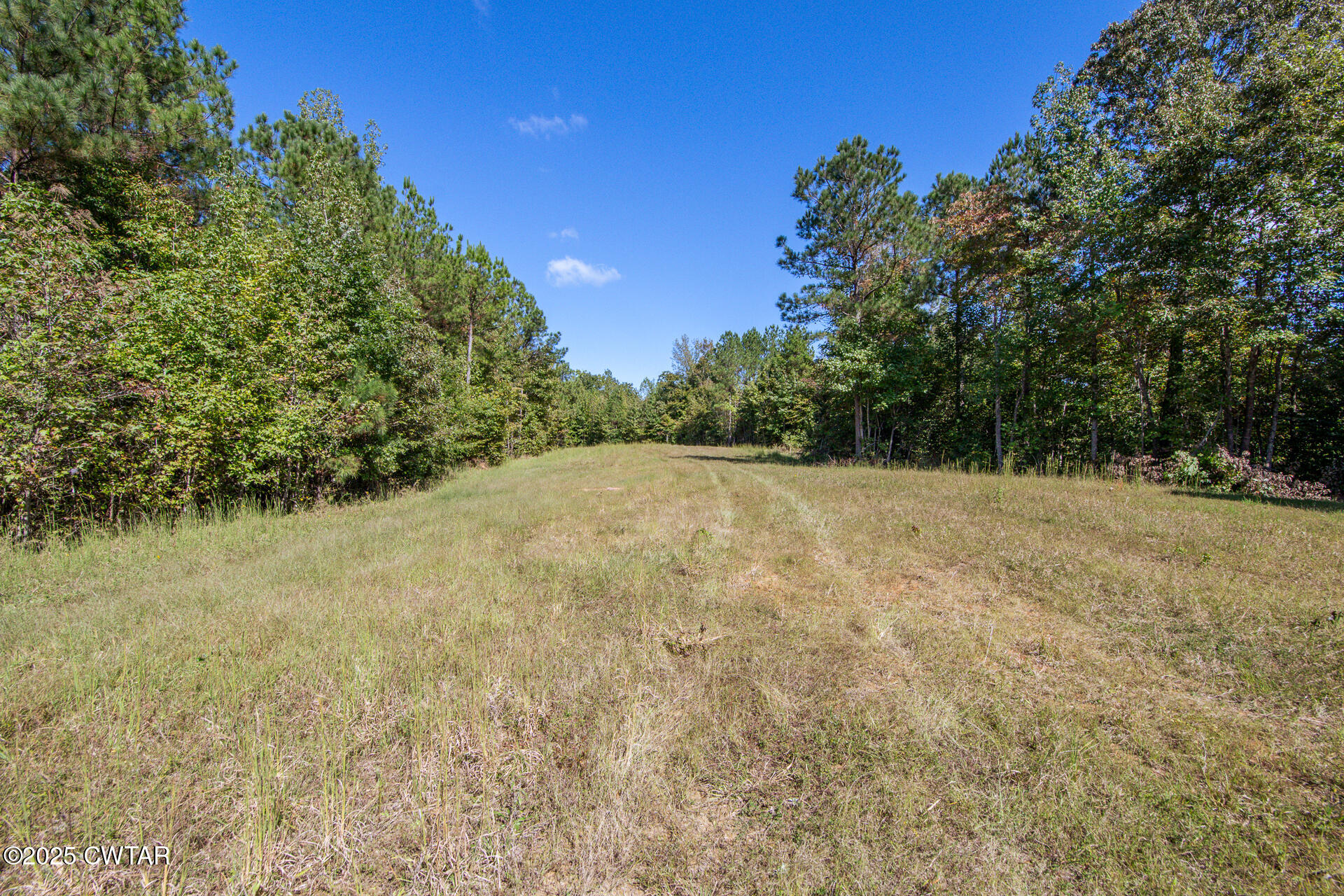 424 Firetower Road