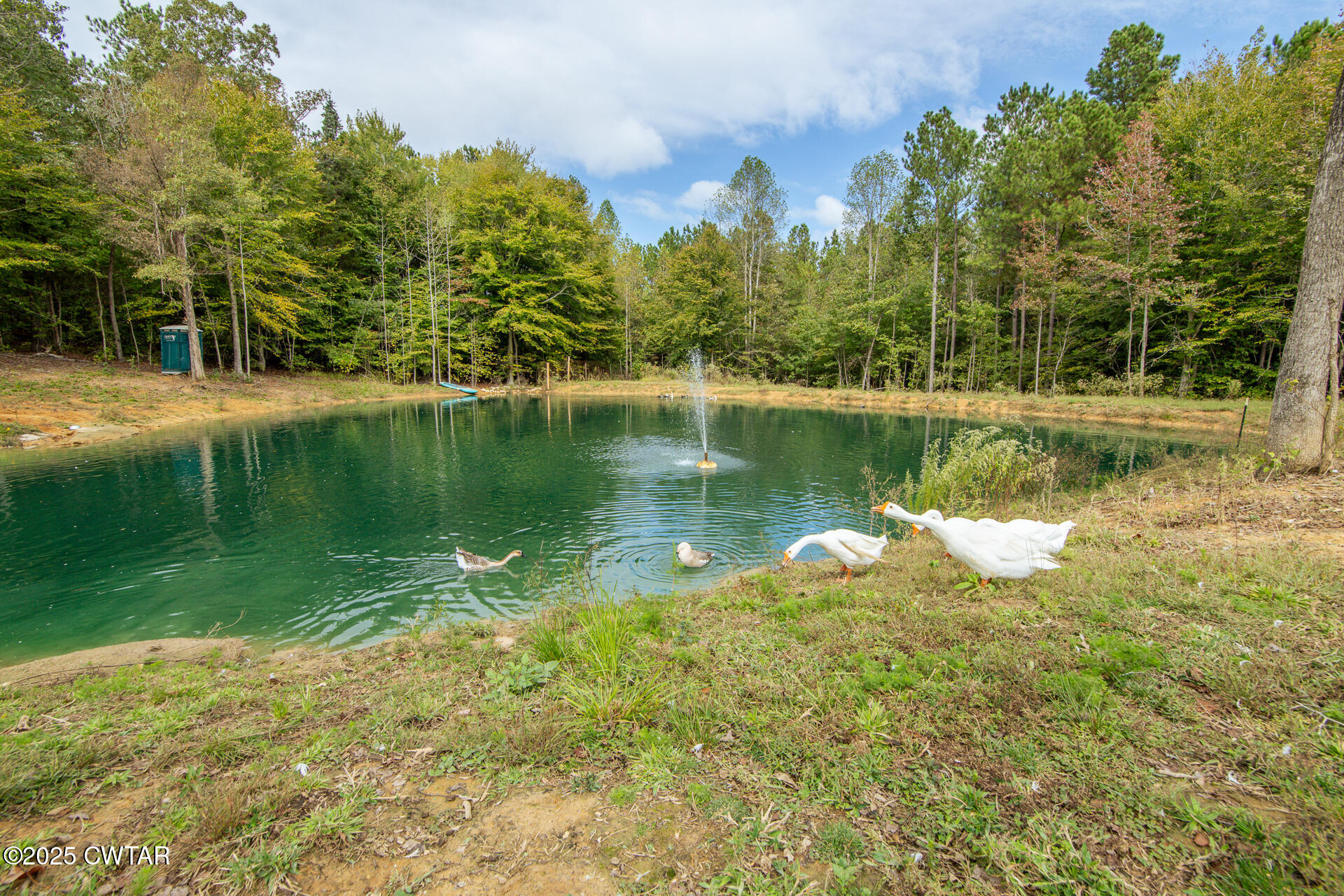 424 Firetower Road