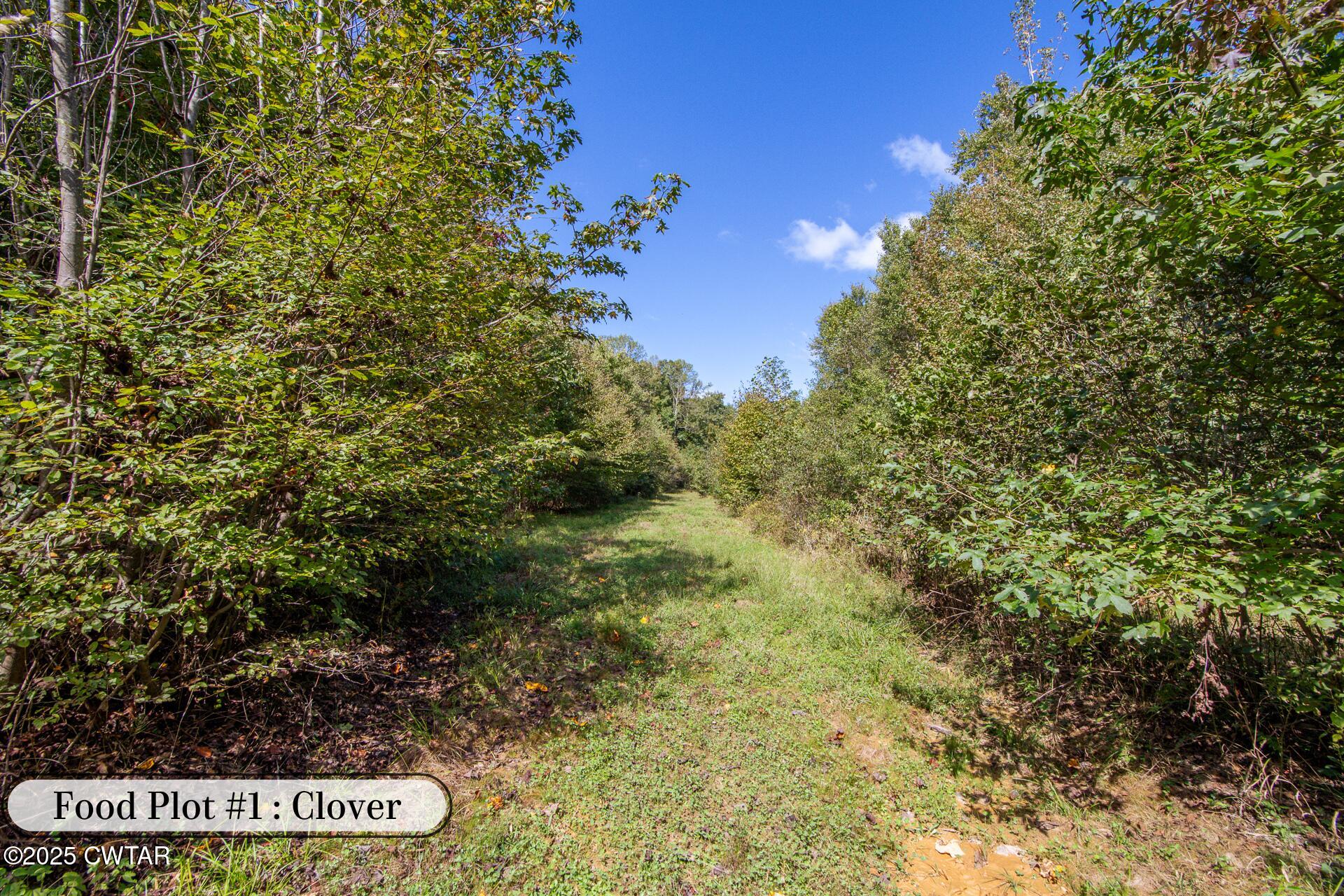 424 Firetower Road