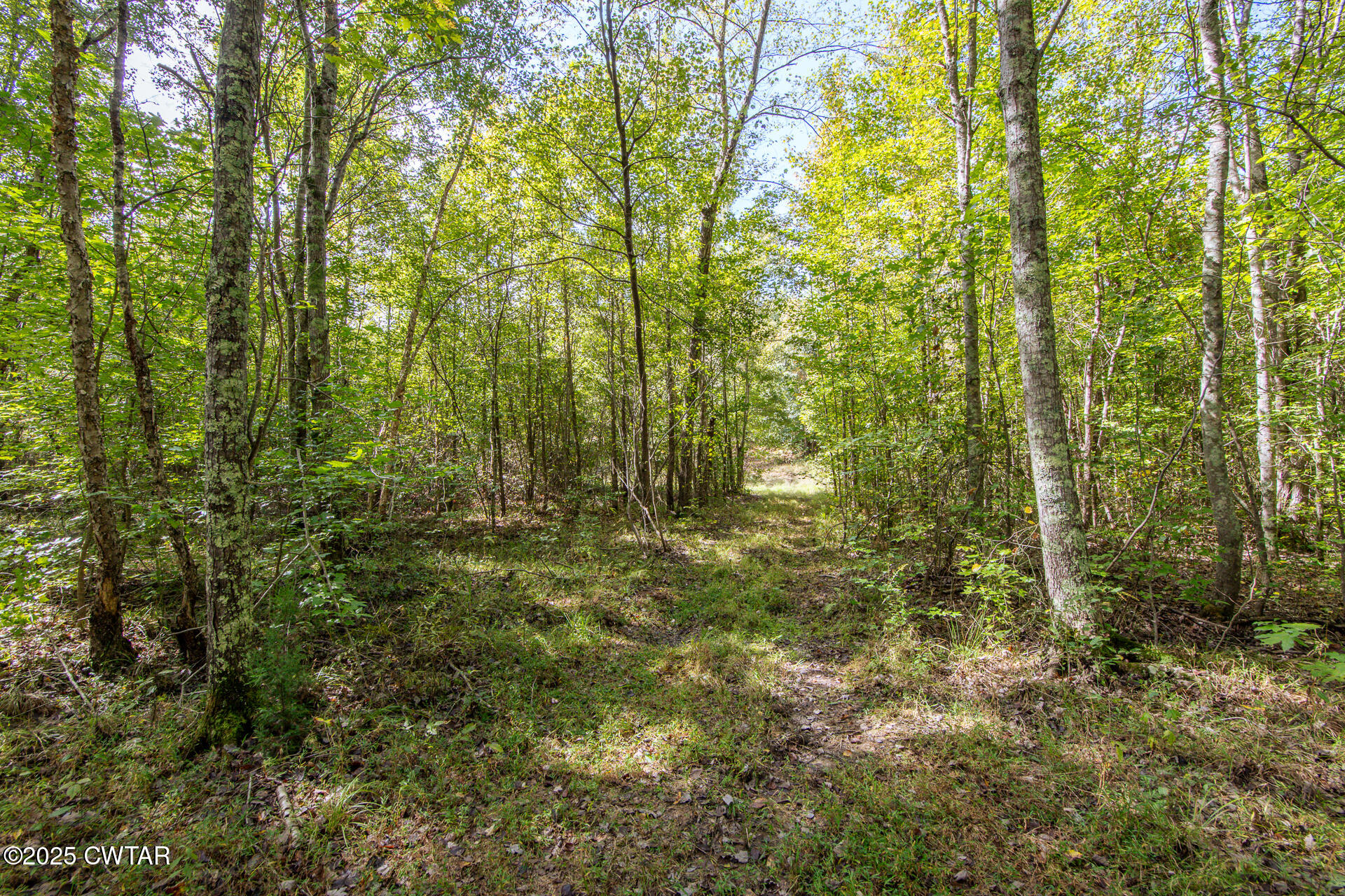 424 Firetower Road
