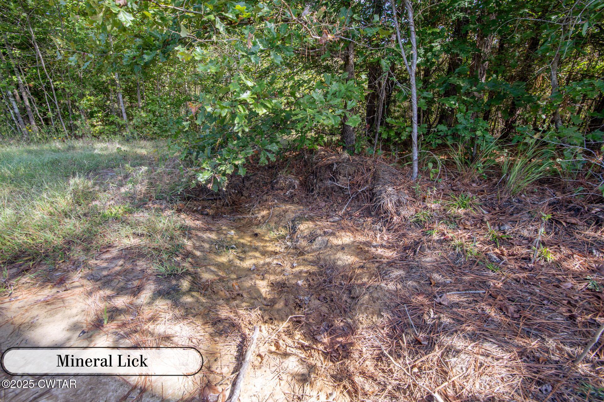 424 Firetower Road