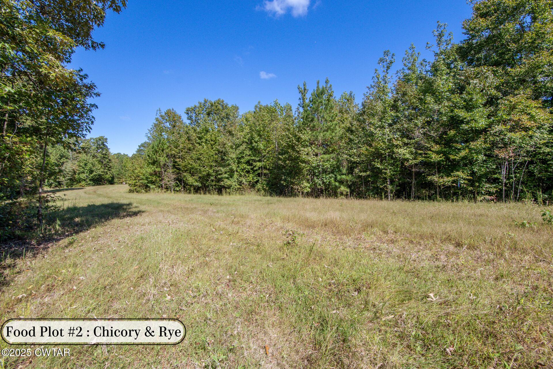 424 Firetower Road