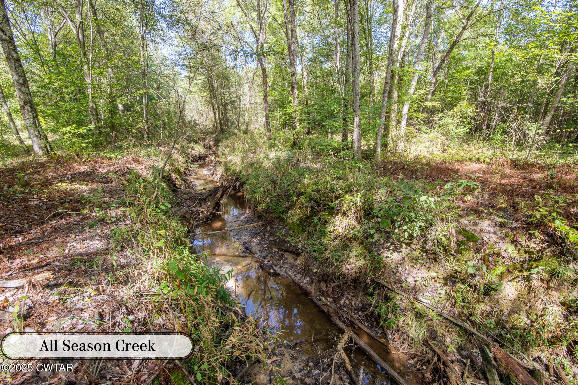 424 Firetower Road