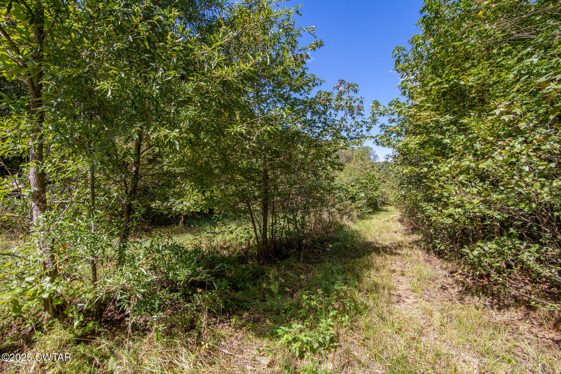 424 Firetower Road