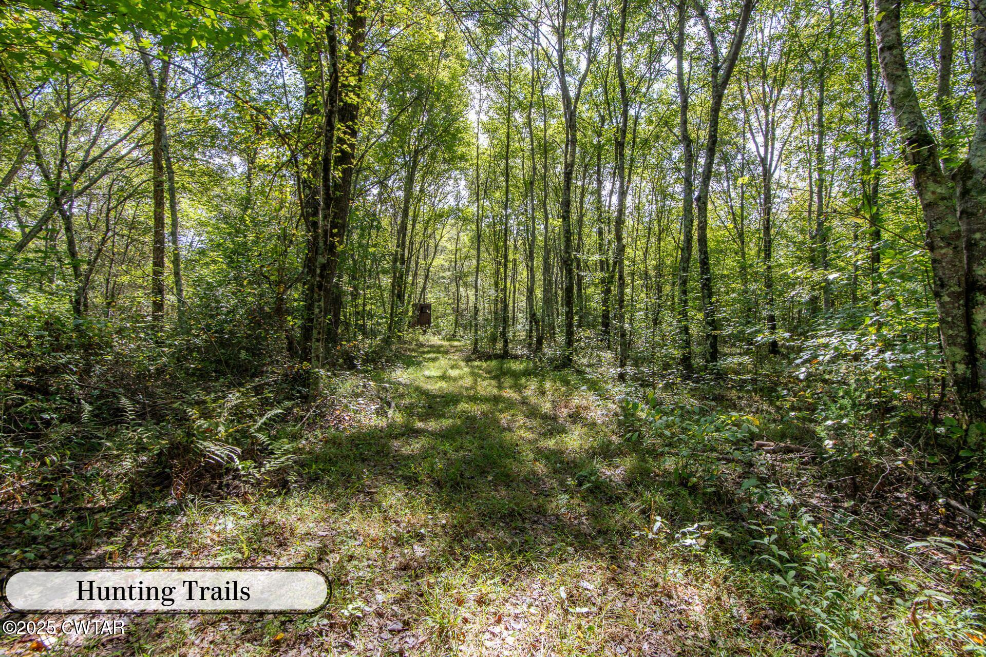 424 Firetower Road