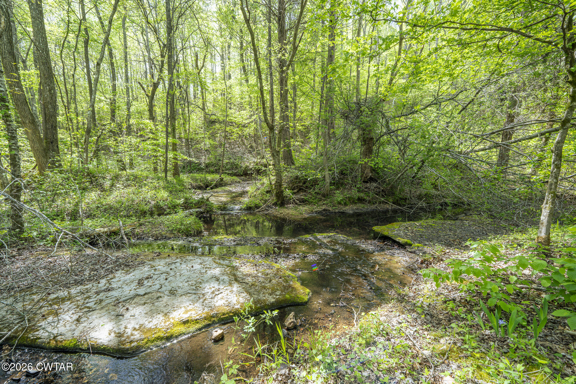 6704 Rockhouse Road