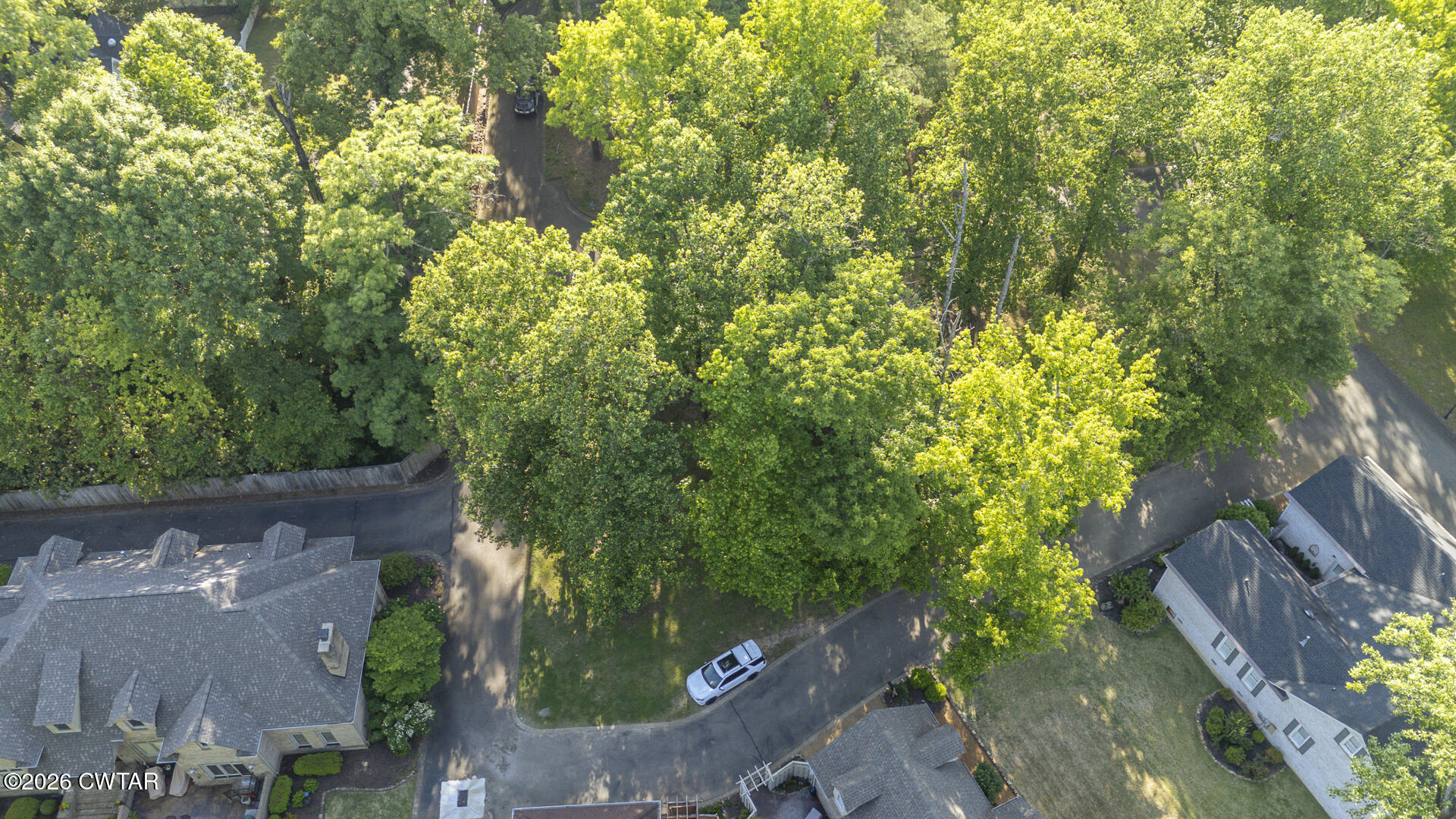 24 Frankland Avenue