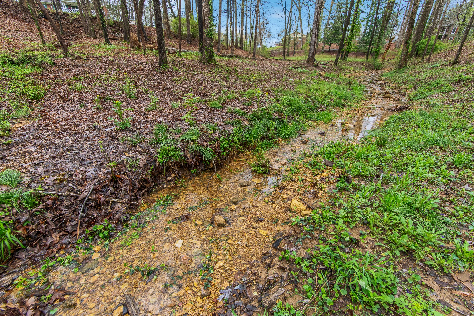 403 Oakwood Dr