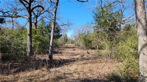 Lot 25 High Meadow Loop