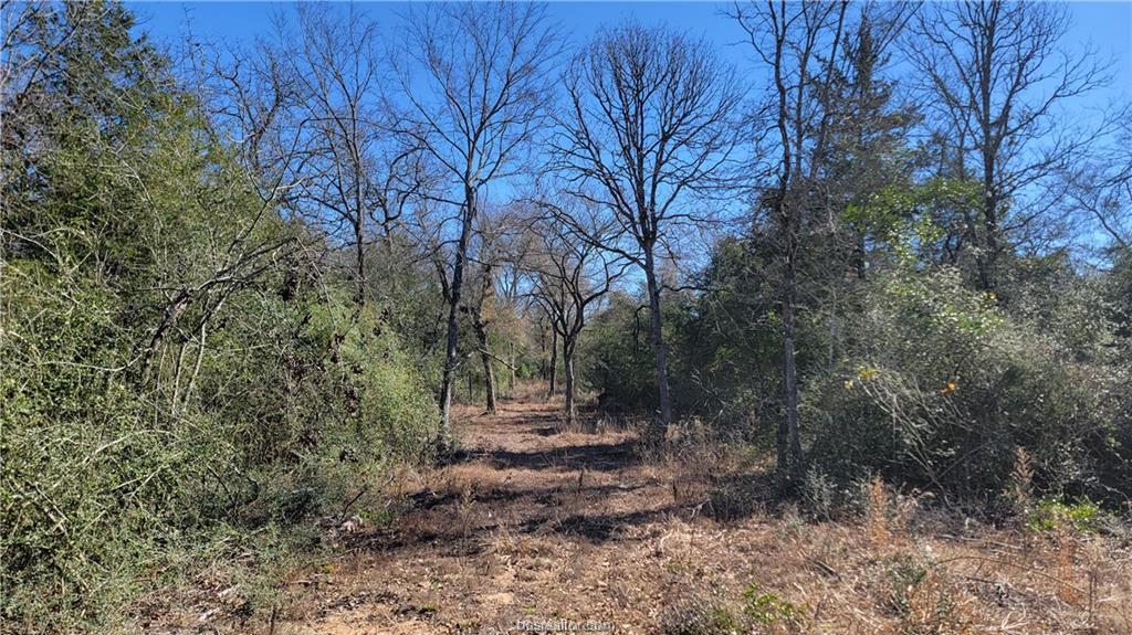 Lot 12 old hickory grove Trail