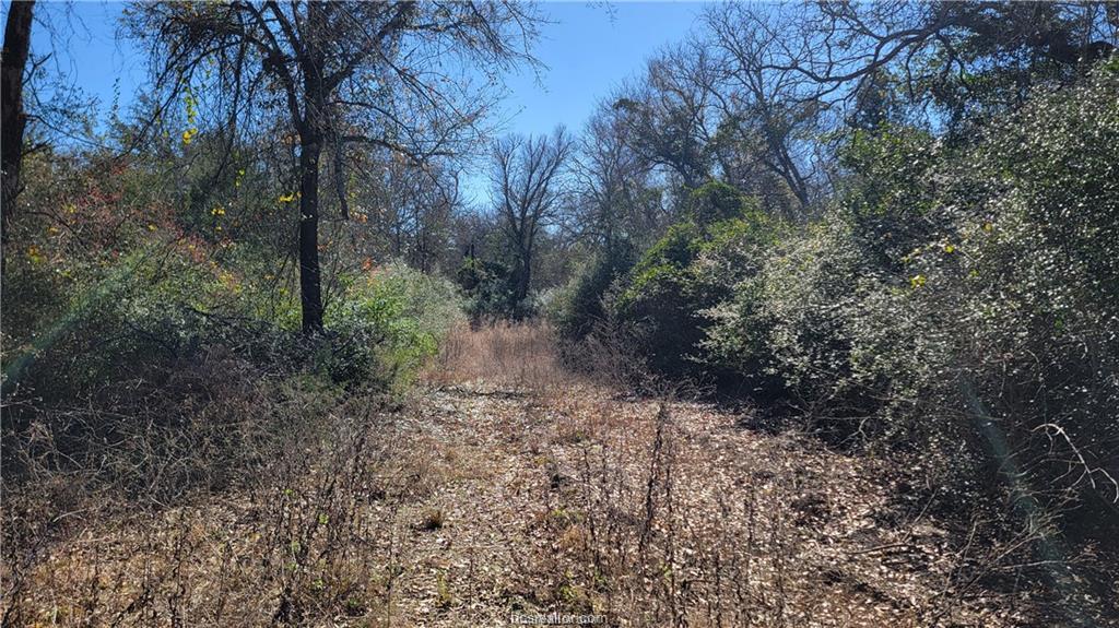 Lot 12 old hickory grove Trail