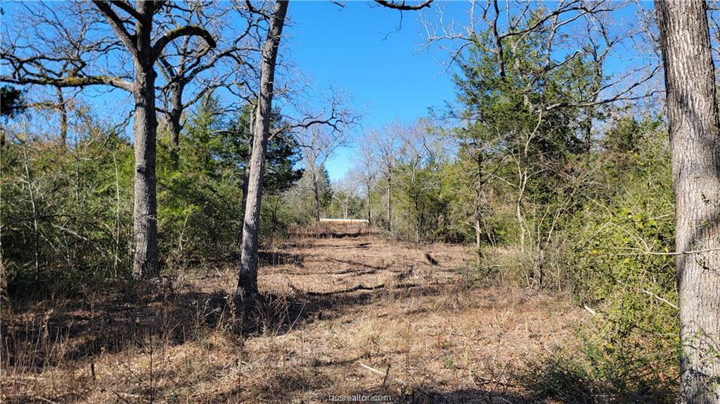 Lot 9 Old hickory Trail
