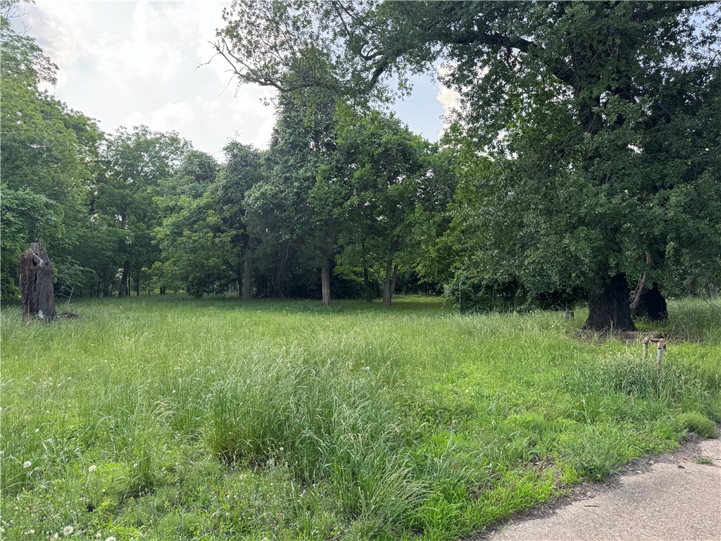 306 North Randolph Avenue