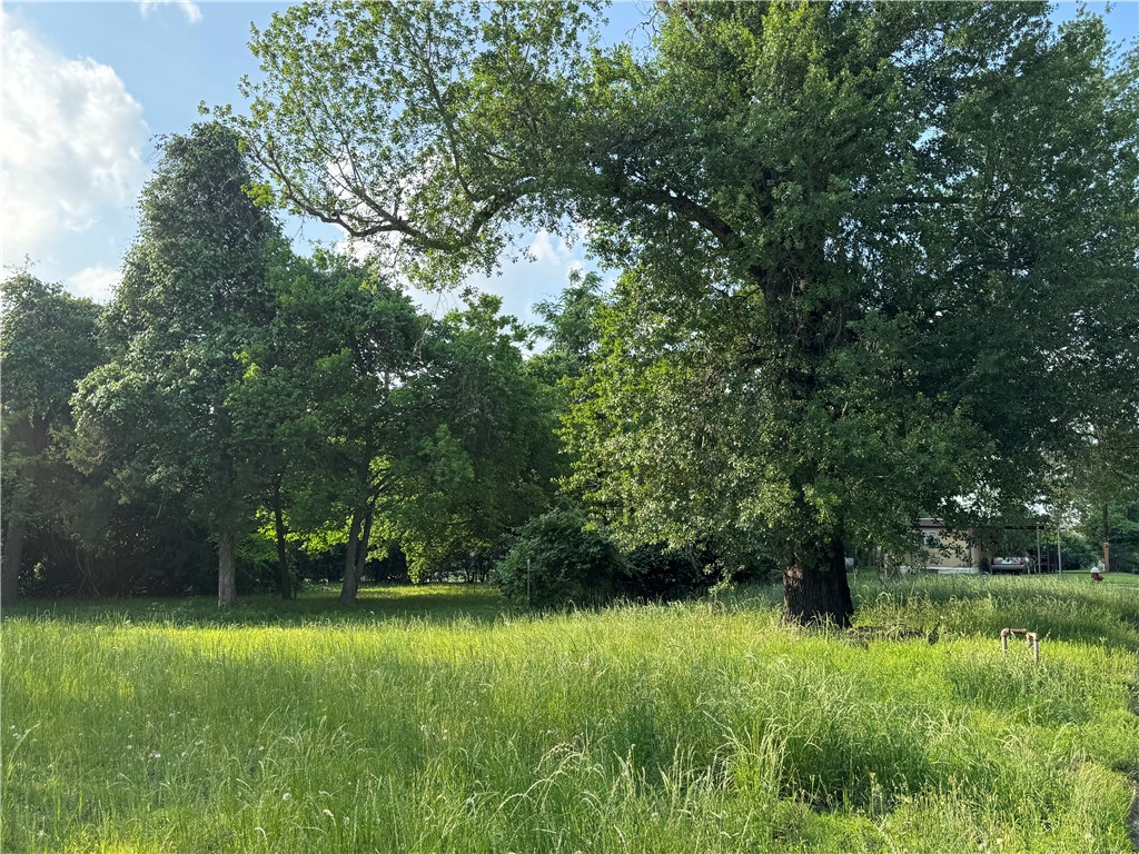 306 North Randolph Avenue