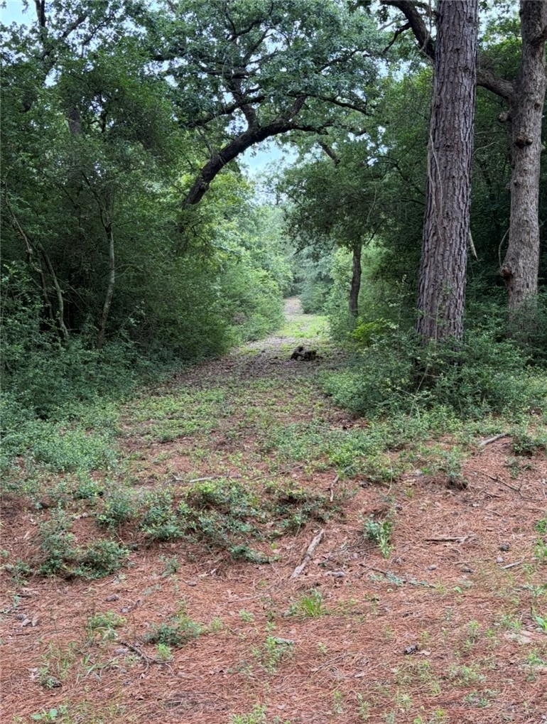 3458 Private Road 1425