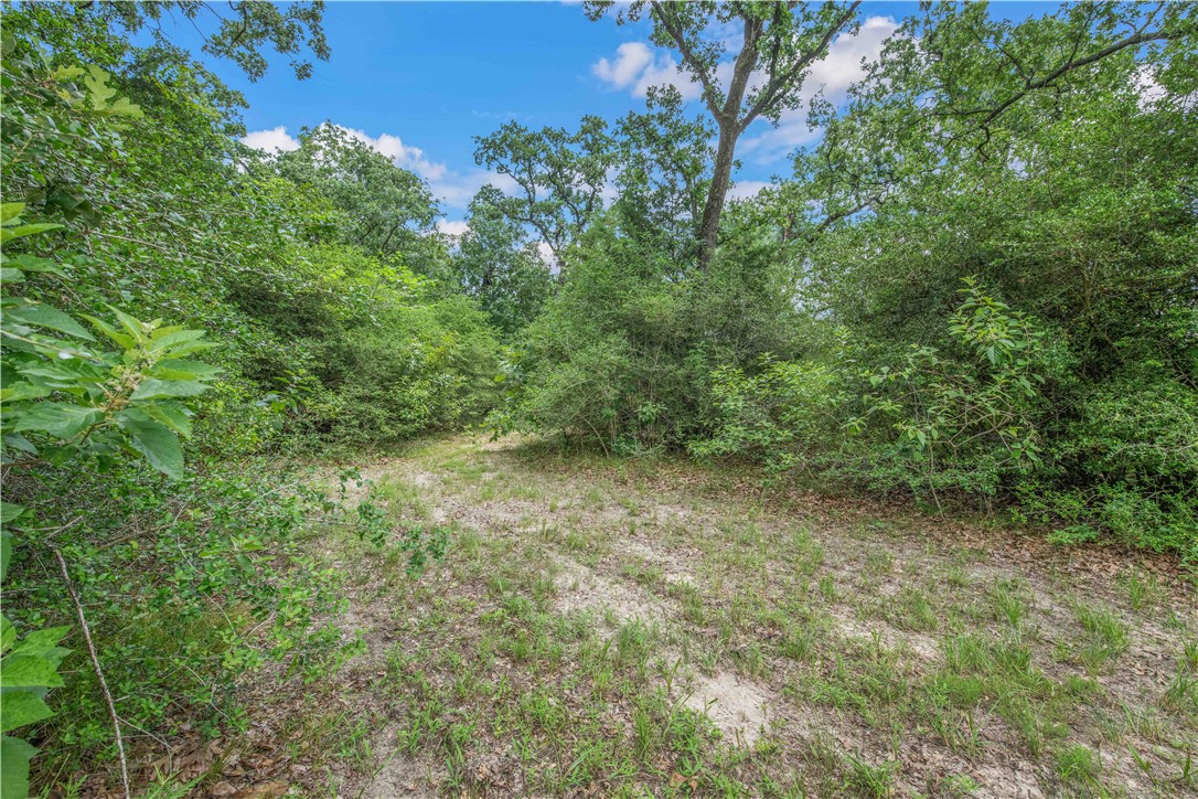 3458 Private Road 1425