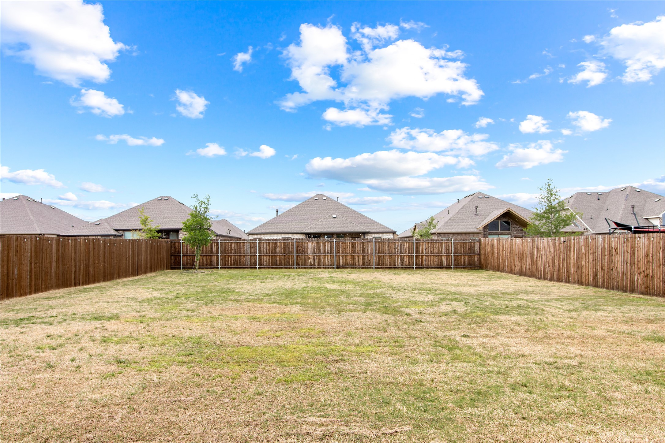 2901 Diamondback Drive